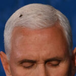 Mike Pence Unveils His Unconventional Running Mate: The Fly on His Hair