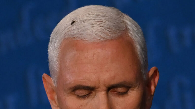 Mike Pence Unveils His Unconventional Running Mate: The Fly on His Hair